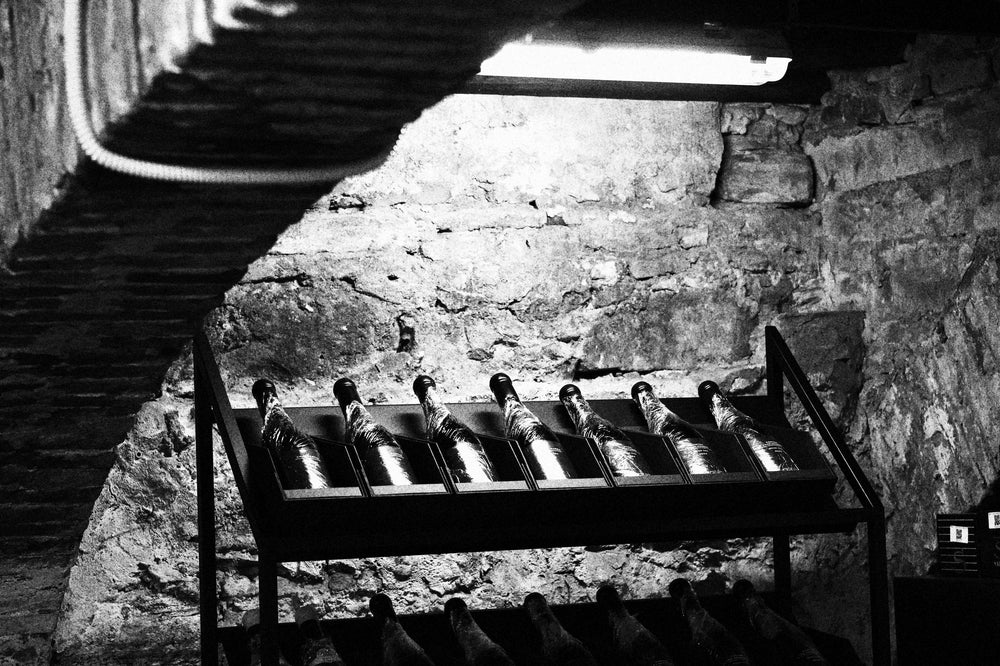 La cantina STELT a Lucca