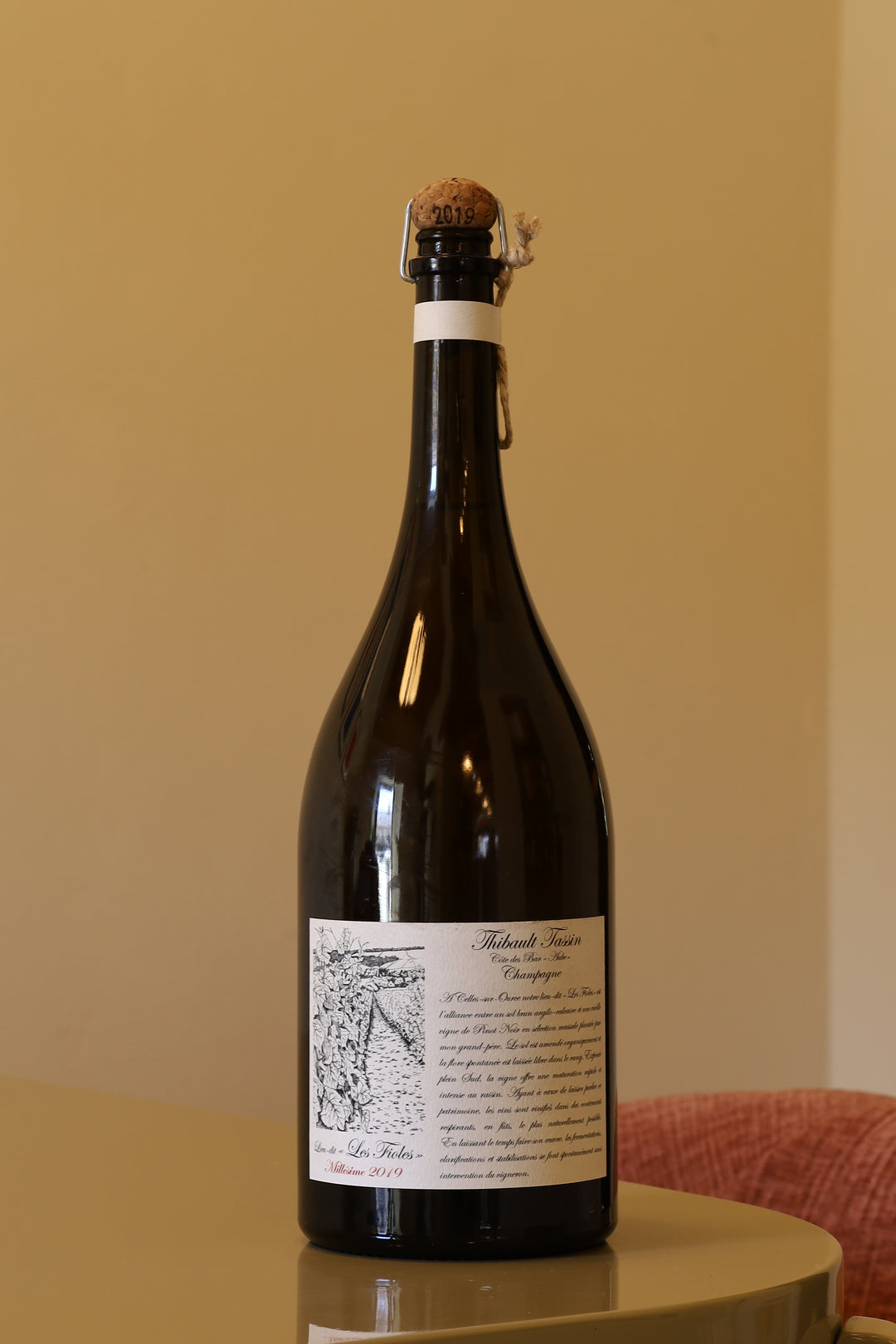 Tassin En Dalivard 2019 AOC 1,5l Bottle